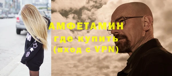 индика Волоколамск
