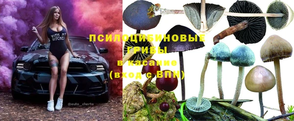 индика Волоколамск