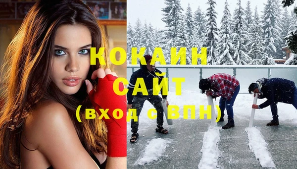 индика Волоколамск