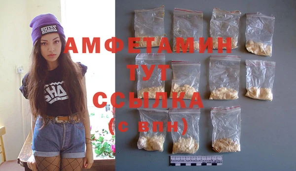 индика Волоколамск