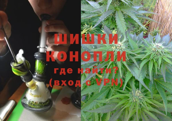 индика Волоколамск