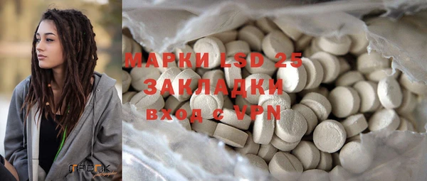 индика Волоколамск