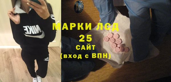 индика Волоколамск