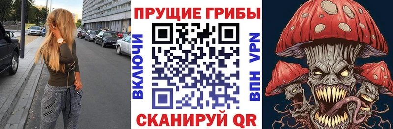 даркнет Telegram  Подпорожье  Псилоцибиновые грибы Magic Shrooms  гидра зеркало 